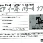 カフェ ランバン:エチオピア イーストハラー4 ナフィシフィ