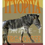 自家焙煎珈琲豆挽売八月の犬:エチオピア モカ イルガチェフ グレード1