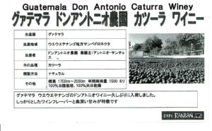 カフェ ランバン:グアテマラ ドン・アントニオ農園 カツーラ ワイニー