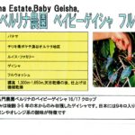 カフェ ランバン:パナマ ベルリナ農園 ベイビーゲイシャ