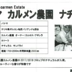 カフェ ランバン:パナマ カルメン農園 カツーラ ナチュラル