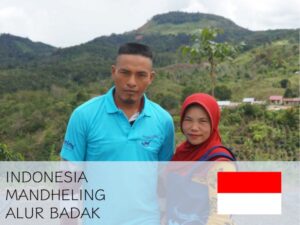 丸美珈琲店:インドネシア マンデリン アルールバダ