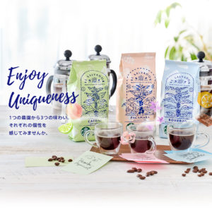 スターバックス：エルサルバドル モンテカルロスエステート パカマラ カトゥアイ ブルボン