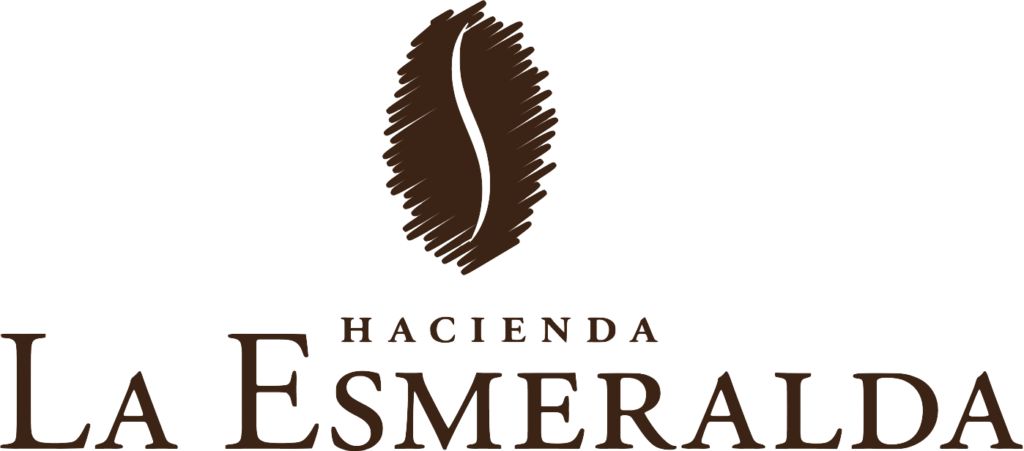 パナマ エスメラルダ農園の歴史：ゲイシャ ベスト・オブ・パナマ エスメラルダ スペシャル