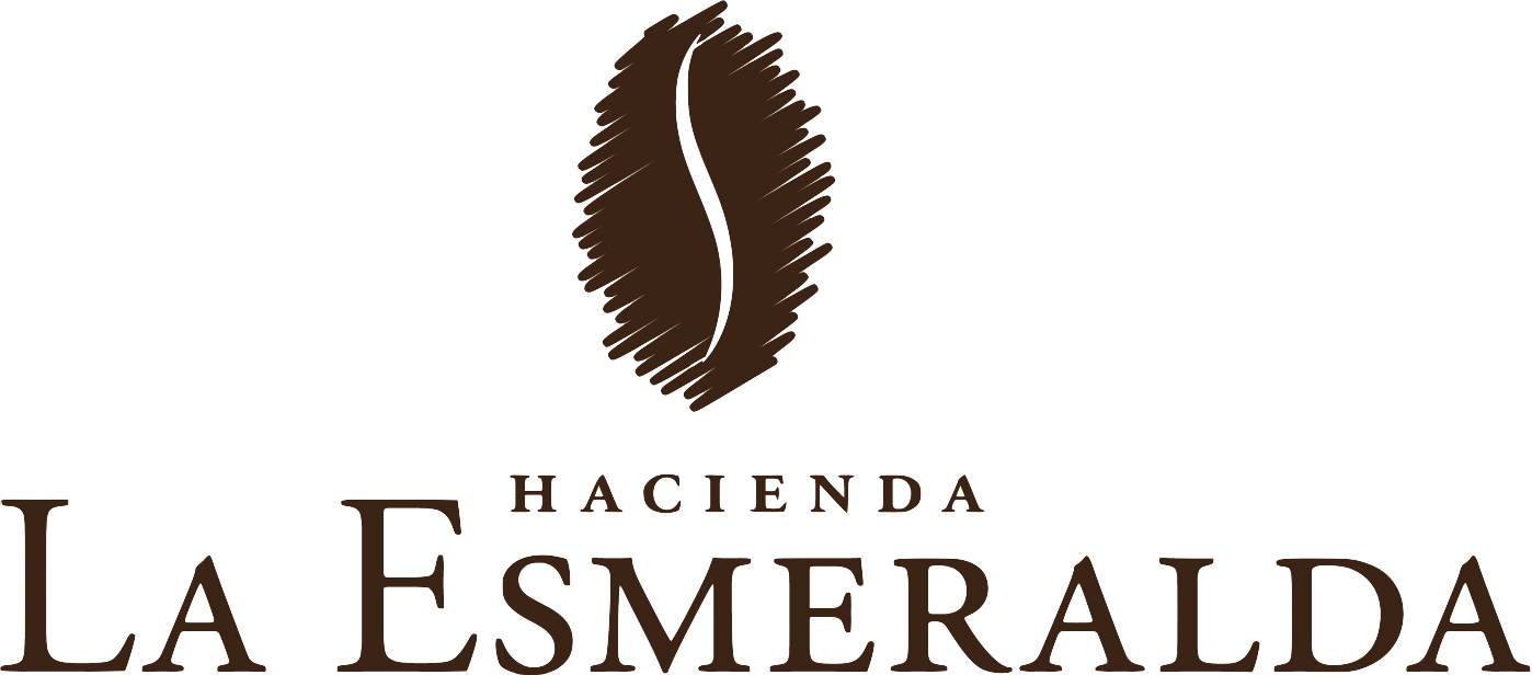 MUC（マック）上島珈琲貿易株式会社 ：パナマ エスメラルダ農園 ゲイシャ