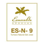 辻本珈琲:パナマ エスメラルダ ゲイシャ ES-N-9 トゥマコ ナチュラル サン・ホセ