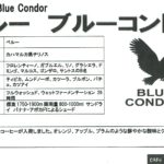 カフェ ランバン :ペルー ブルーコンドル