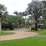 ニューカレドニアのコーヒーの歴史（２）：コーヒーの伝来と流刑植民地時代のコーヒー生産