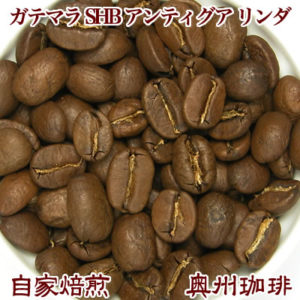 奥州珈琲(日本珈琲社):ガテマラ SHB アンティグア リンダ