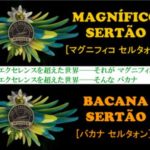 帰山人の珈琲遊戯:ブラジル セルタォン