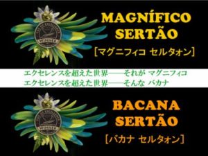 帰山人の珈琲遊戯:ブラジル セルタォン