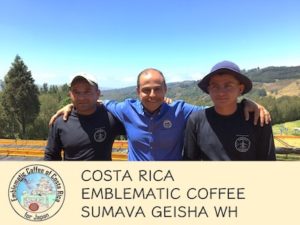 丸美珈琲店：コスタリカ シュマヴァ農園 ゲイシャ