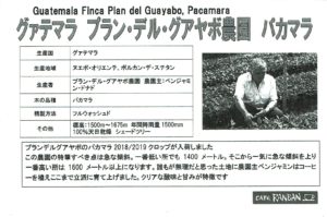 カフェ ランバン:グアテマラ プラン・デル・グアヤボ農園 パカマラ
