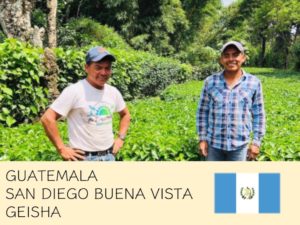 丸美珈琲店：グアテマラ サンディエゴ ブエナビスタ農園 ゲイシャ