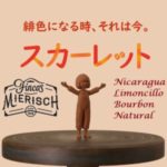 帰山人の珈琲遊戯:ニカラグア リモンシリョ