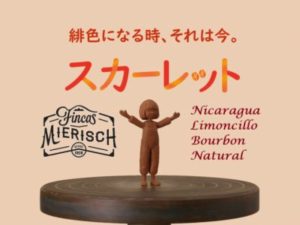 帰山人の珈琲遊戯:ニカラグア リモンシリョ
