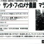 カフェ ランバン:グアテマラ サンタ・フィロメナ農園 マラカツーラ