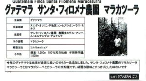 カフェ ランバン：グアテマラ サンタ・フィロメナ農園 マラカツーラ