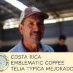 丸美珈琲店:コスタリカ テリア農園 ティピカ・メホラード