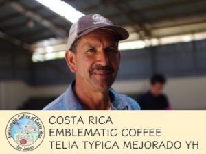 丸美珈琲店：コスタリカ テリア農園 ティピカ・メホラード