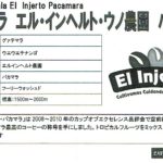 カフェ ランバン:グアテマラ エル・インヘルト農園 パカマラ