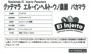 カフェ ランバン:グアテマラ エル・インヘルト農園 パカマラ