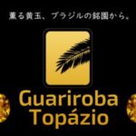 帰山人の珈琲遊戯:ブラジル グアリロバ農園 トパージオ