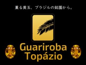 加藤珈琲店：世界規格Qグレード スペシャルティコーヒー エルサルバドル