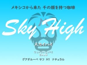 帰山人の珈琲遊戯:メキシコ グアダルーペ・ザフ農園 H1 ナチュラル