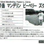 カフェ ランバン:インドネシア スマトラ島 マンデリン ピーベリー ズクナー