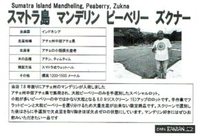 カフェ ランバン：インドネシア スマトラ島 マンデリン ピーベリー ズクナー