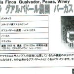 カフェ ランバン:グアテマラ グアルバドール農園 パーカス ワイニー