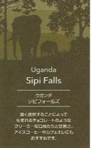 UCCカフェメルカード:ウガンダ シピ・フォールズ