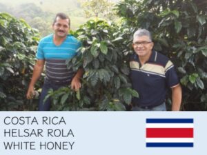 丸美珈琲店：コスタリカ ローラ農園