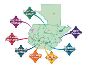 グアテマラの8つのコーヒー生産地域とそれぞれの特徴