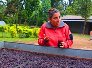 豆ポレポレ：エチオピア グジ ブルーナイル ウォッシュト