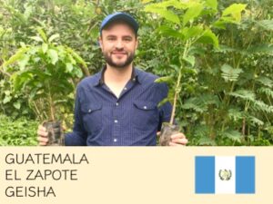 丸美珈琲店：グアテマラ サポテ農園 ゲイシャ