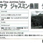 カフェ ランバン:グアテマラ ジャスミン農園 ティピカ