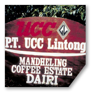 UCC直営農園 インドネシア UCC リントンマンデリンコーヒー エステート