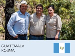 丸美珈琲店:グアテマラ ロスマ農園