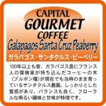 キャピタルコーヒー:ガラパゴス サンタクルス ピーベリー