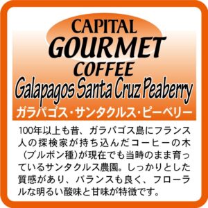 キャピタルコーヒー:ガラパゴス サンタクルス ピーベリー