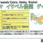 カフェ ランバン:パナマ イザベル農園 ゲイシャ