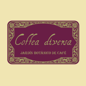 コスタリカ コフィア・ディベルサ