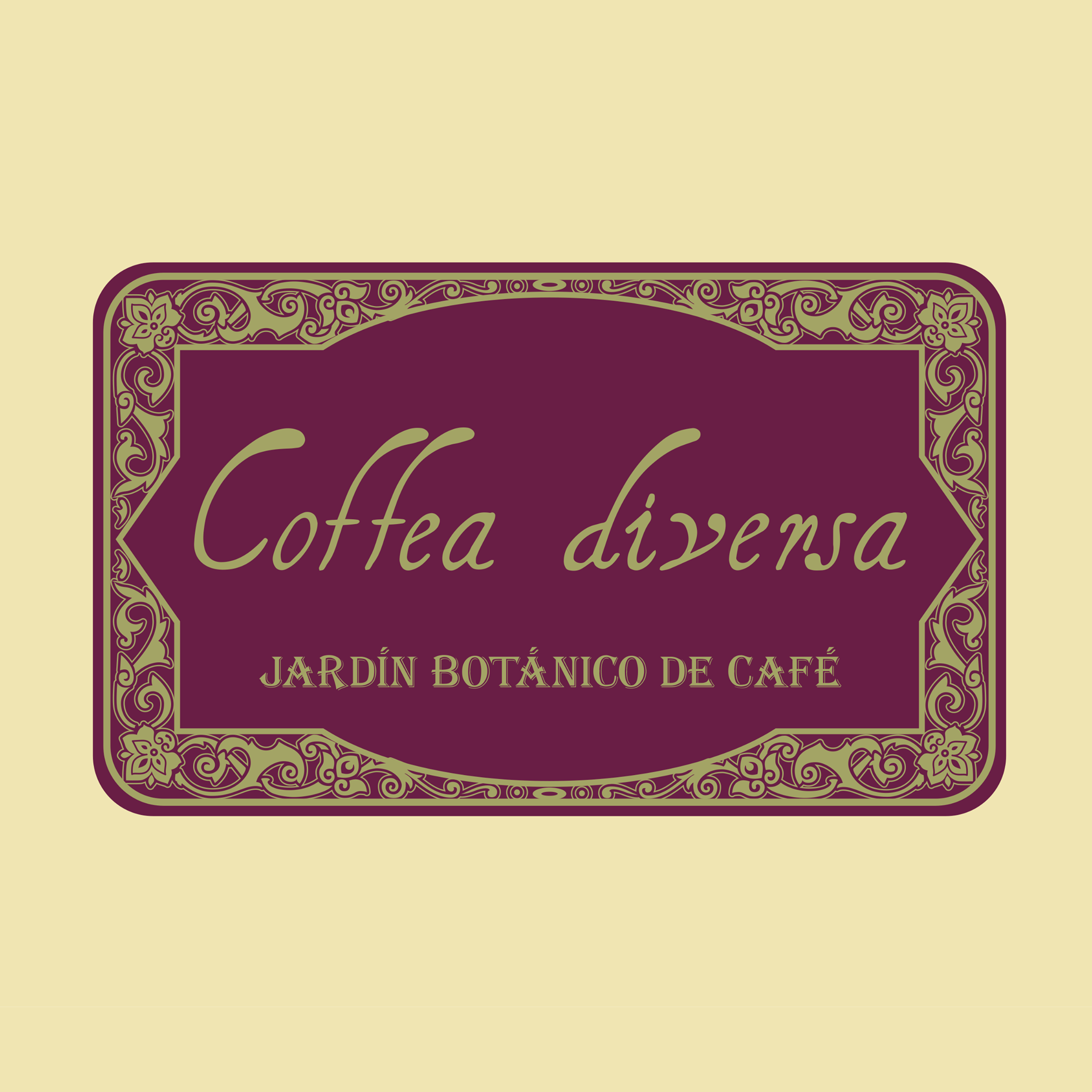 コスタリカ コフィア・ディベルサ