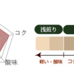 丸美珈琲店:コスタリカ アルコン農園 イエローハニー