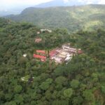 世界で最初のオーガニックコーヒー農園:メキシコ イルランダ農園