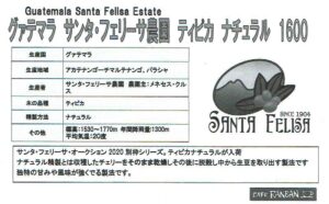 カフェ ランバン:グアテマラ サンタ・フェリーサ農園とサンタ・フェリーサ・レゼルバ・エスペシャル