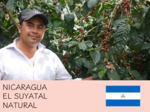 丸美珈琲店：ニカラグア スヤタル農園 ナチュラル