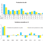 ニューカレドニアのコーヒーの歴史（９）：天国にいちばん近い島の天国にいちばん近いコーヒー
